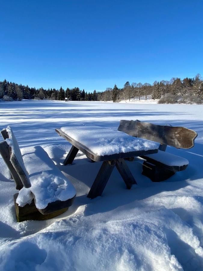 Harz Is Calling Гослар Экстерьер фото