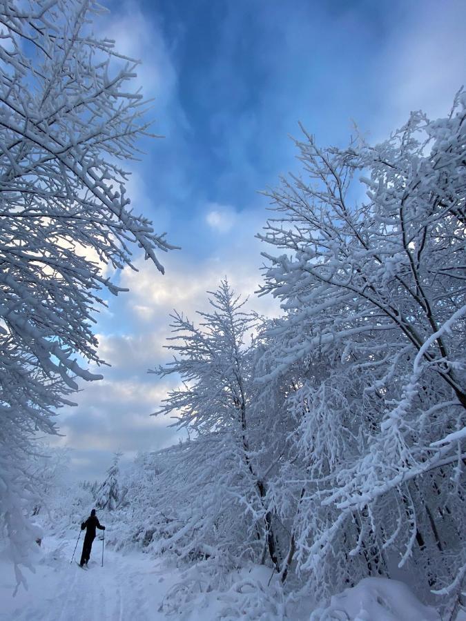 Harz Is Calling Гослар Экстерьер фото
