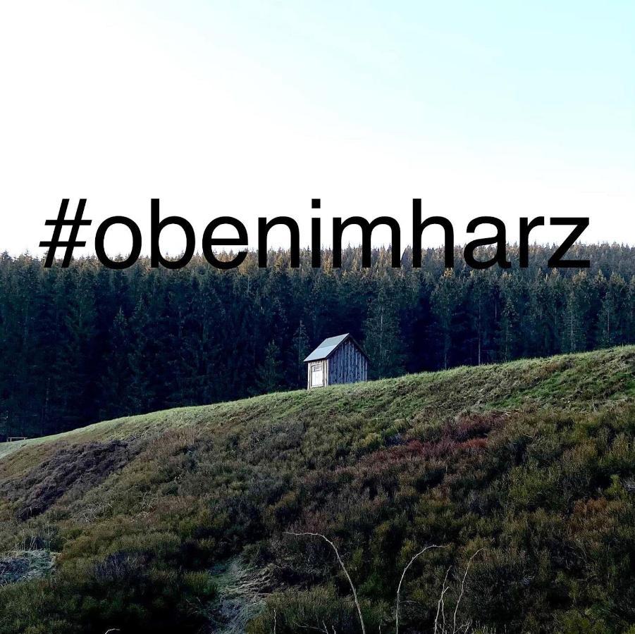 Harz Is Calling Гослар Экстерьер фото