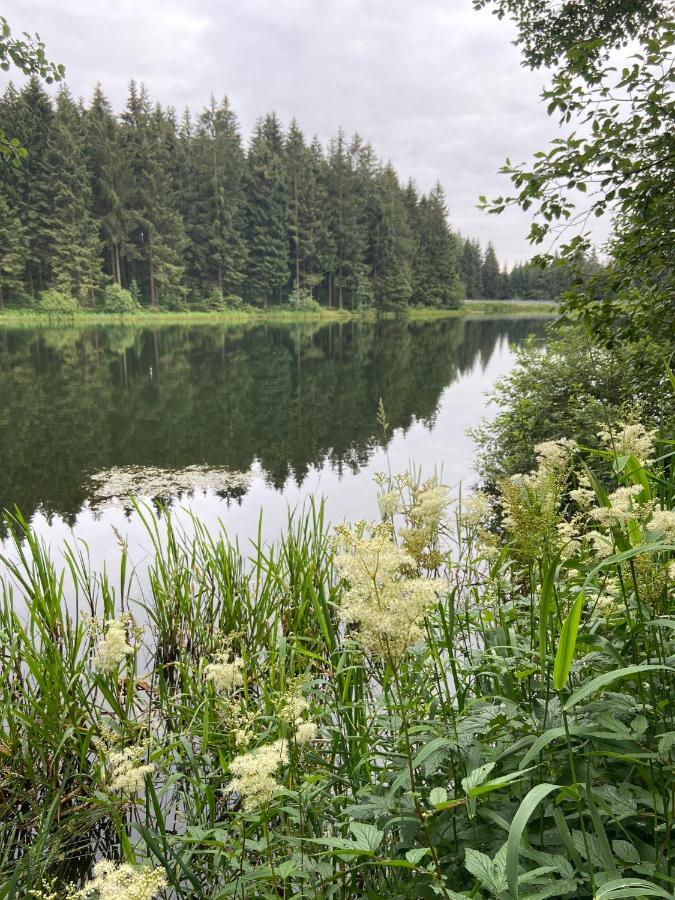 Harz Is Calling Гослар Экстерьер фото