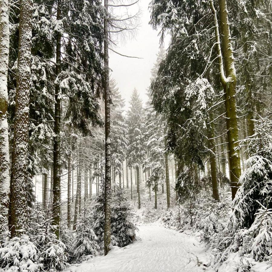 Harz Is Calling Гослар Экстерьер фото
