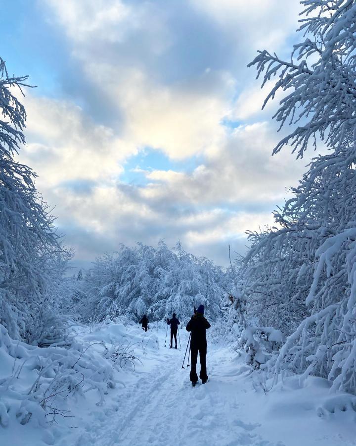 Harz Is Calling Гослар Экстерьер фото