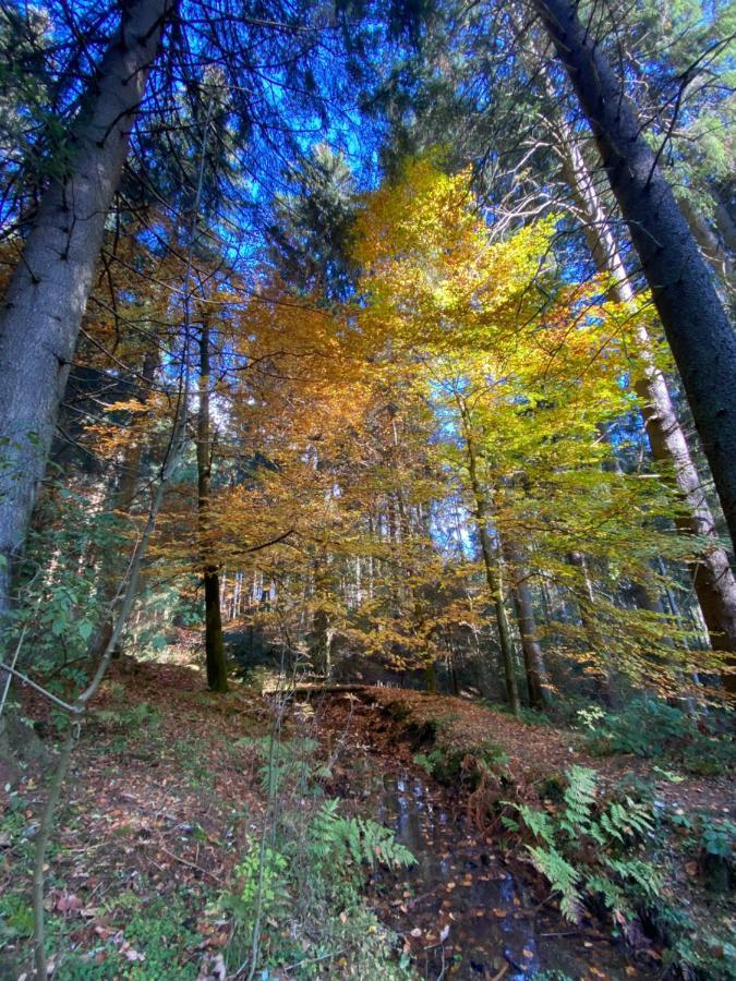 Harz Is Calling Гослар Экстерьер фото