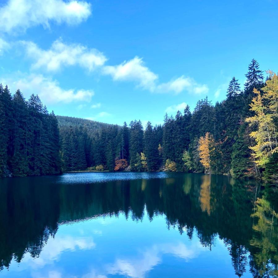 Harz Is Calling Гослар Экстерьер фото