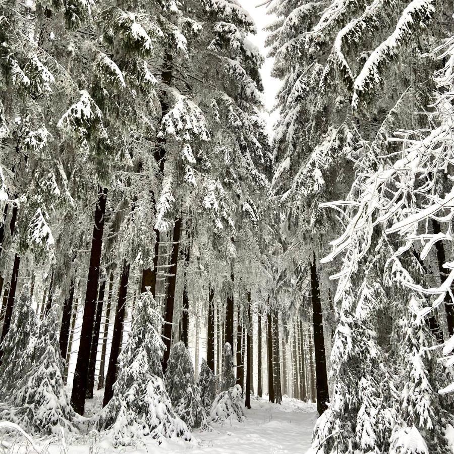 Harz Is Calling Гослар Экстерьер фото