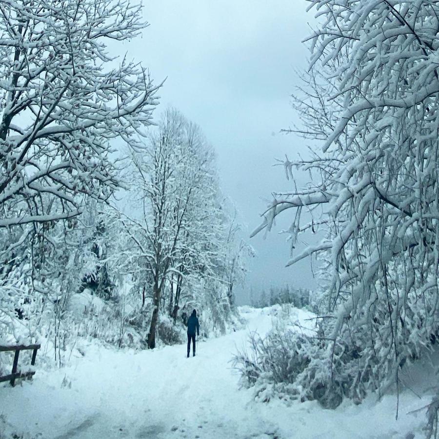 Harz Is Calling Гослар Экстерьер фото
