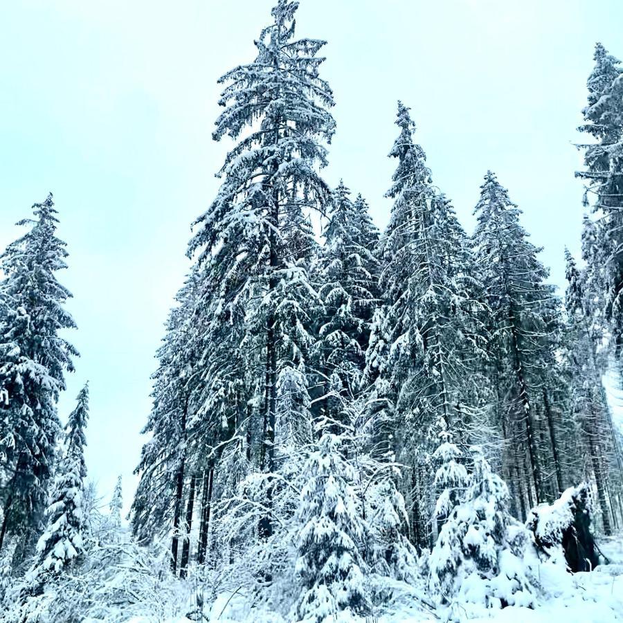 Harz Is Calling Гослар Экстерьер фото