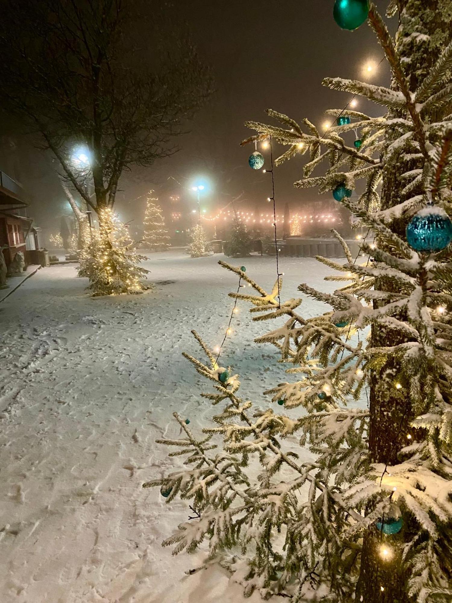 Harz Is Calling Гослар Экстерьер фото